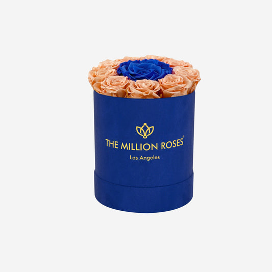 Basic Royal Blue Suede Box | Peach & Violet Mini Roses - The Million Roses