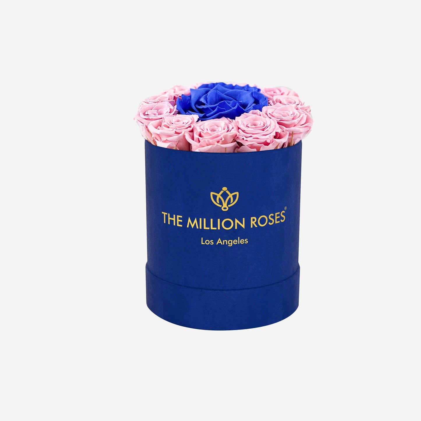 Basic Royal Blue Suede Box | Light Pink & Royal Blue Mini Roses - The Million Roses