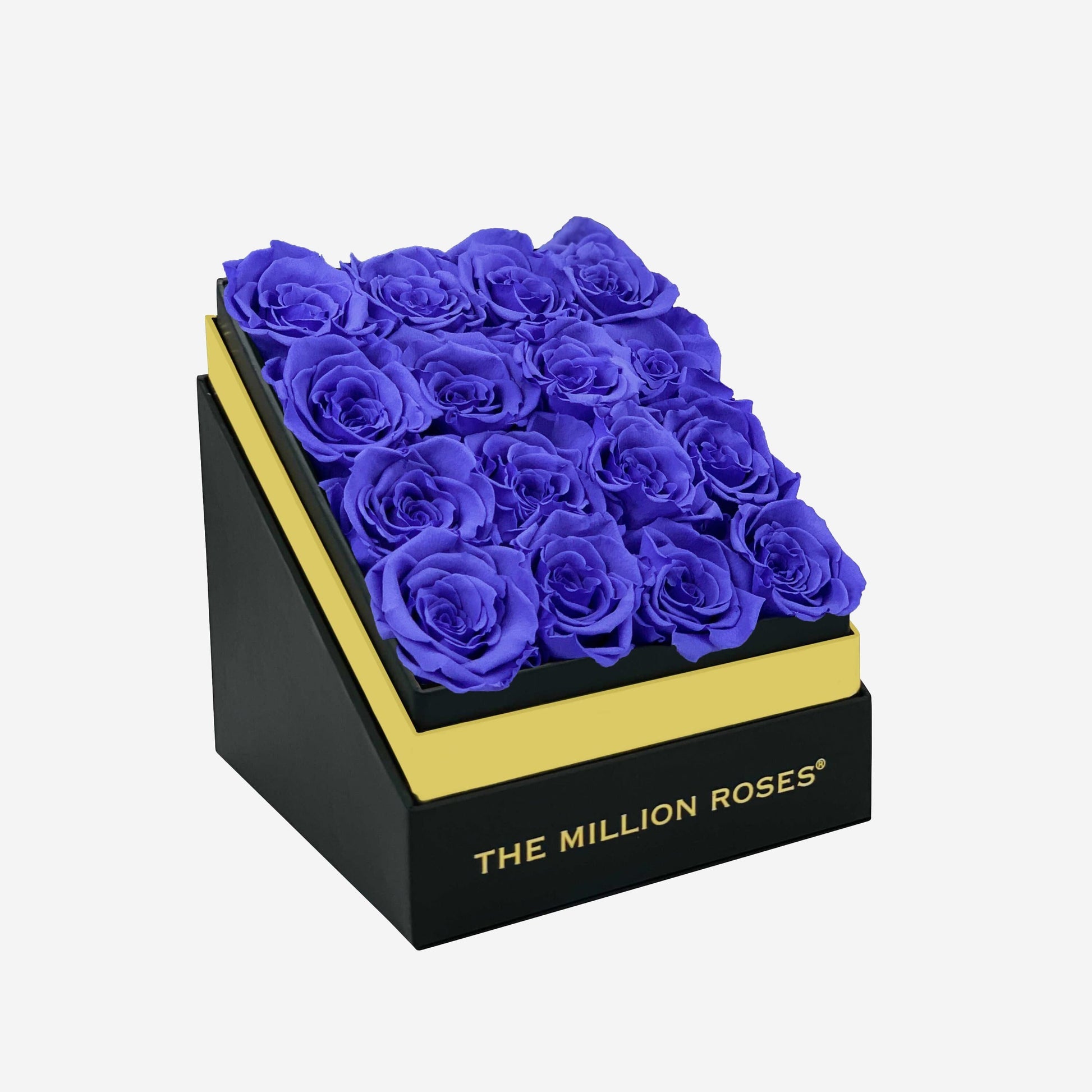 Square Black Box | Violet Roses - The Million Roses