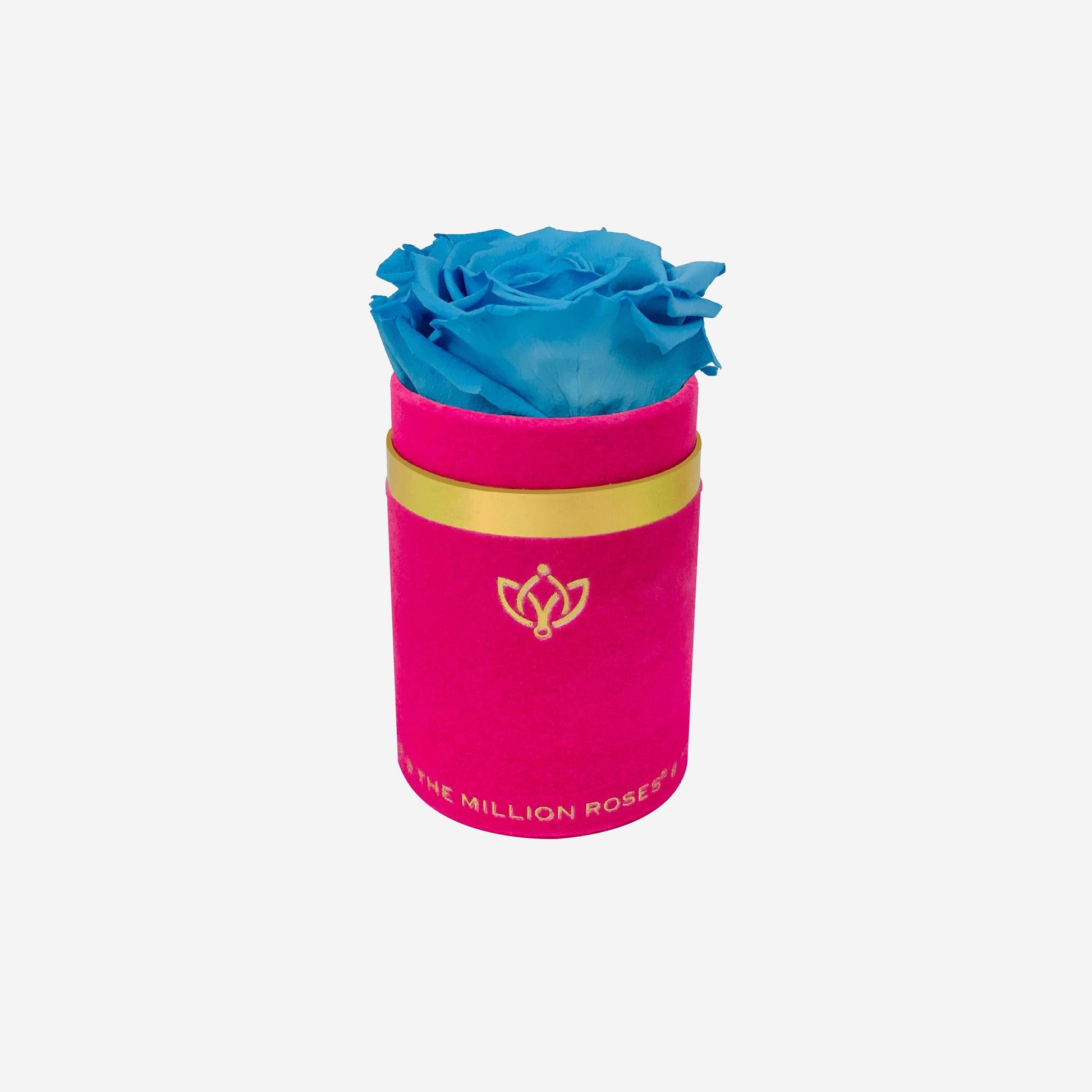 Single Hot Pink Suede Box | Light Blue Rose - The Million Roses