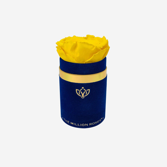 Single Royal Blue Suede Box | Yellow Rose - The Million Roses