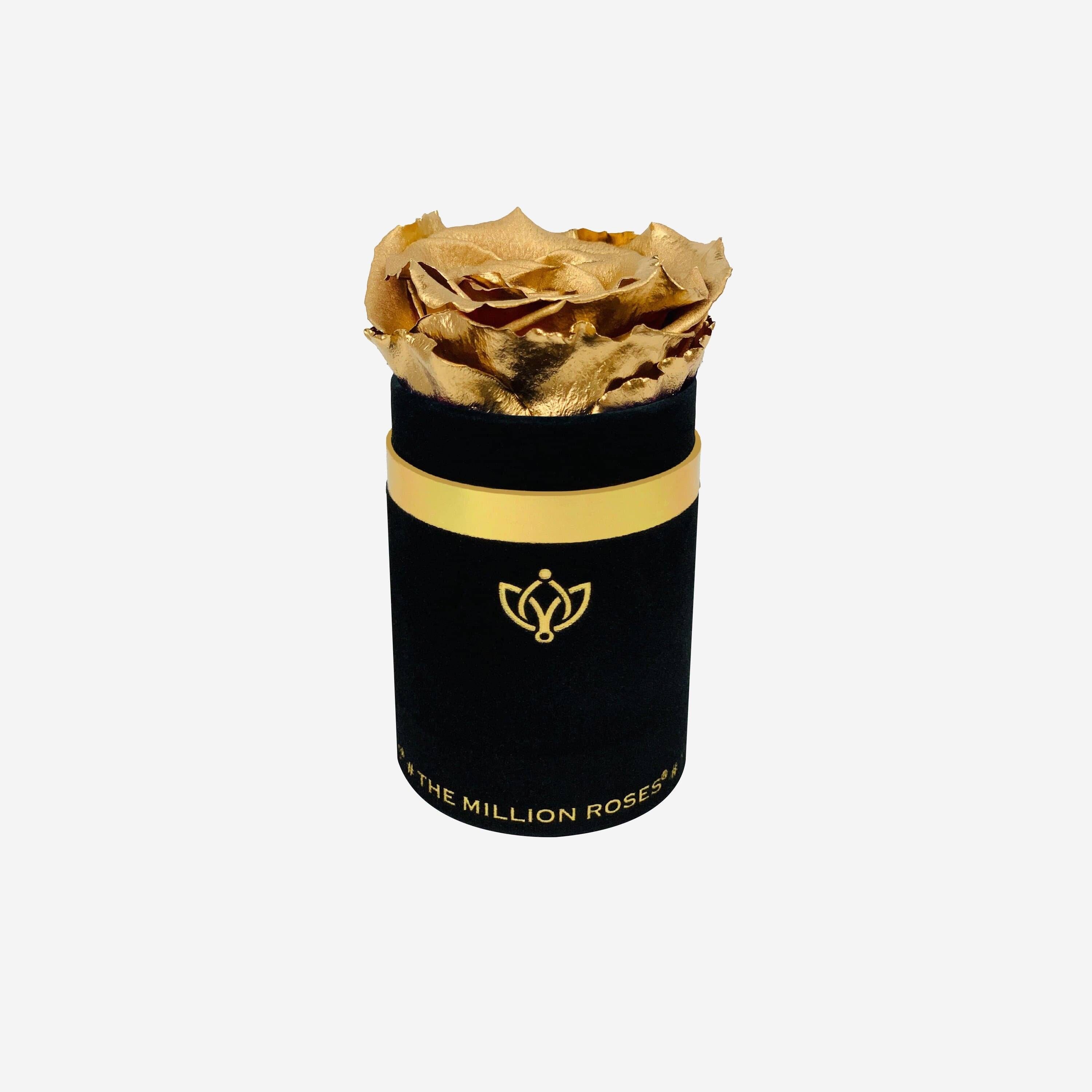 Single Black Suede Box | Gold Rose - The Million Roses