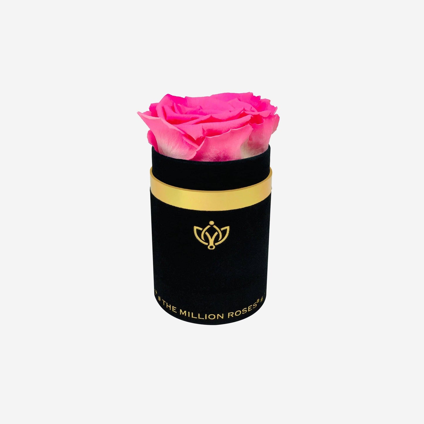 Single Black Suede Box | Candy Pink Rose - The Million Roses