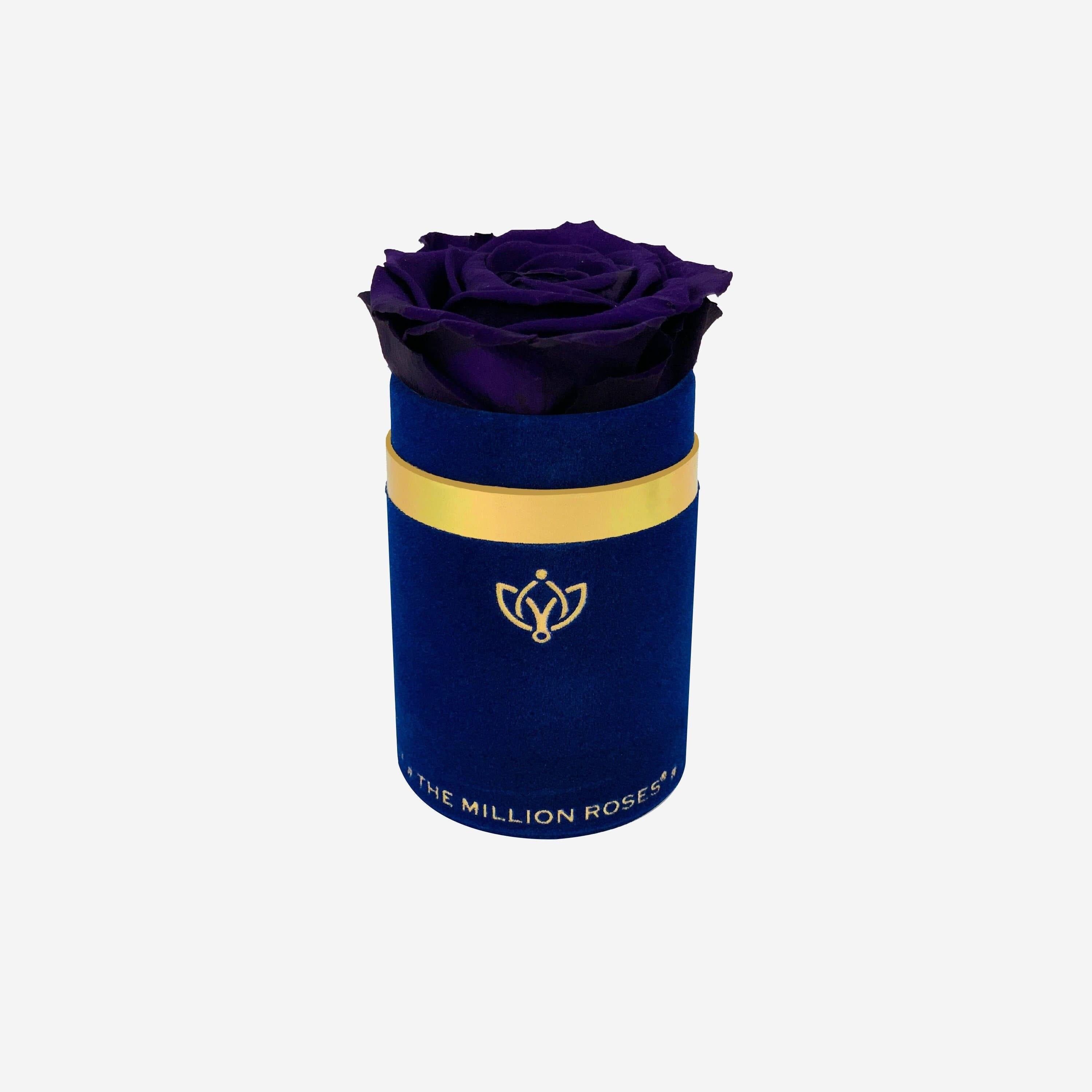 Single Royal Blue Suede Box | Dark Purple Rose - The Million Roses