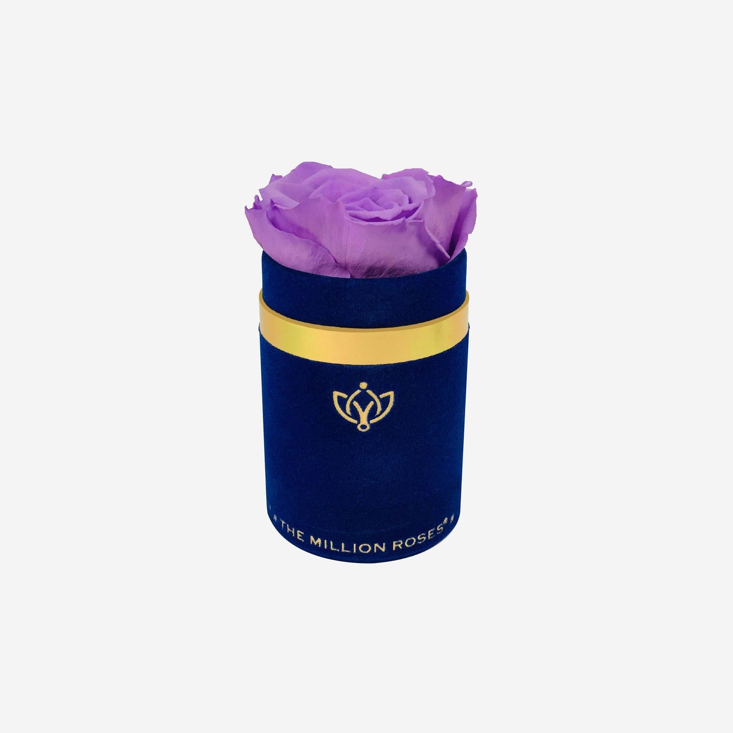 Single Royal Blue Suede Box | Lavender Rose - The Million Roses