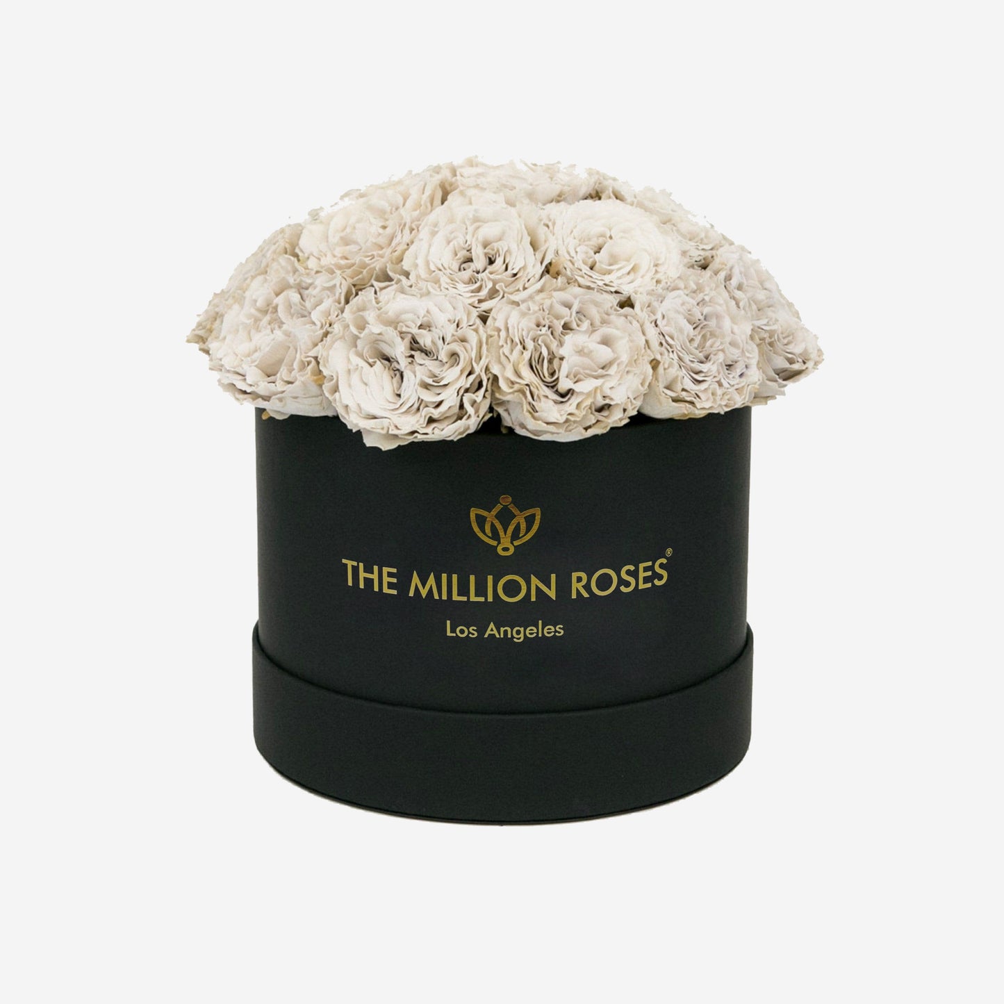 Classic Black Dome Box | Off White Carmen Roses - The Million Roses