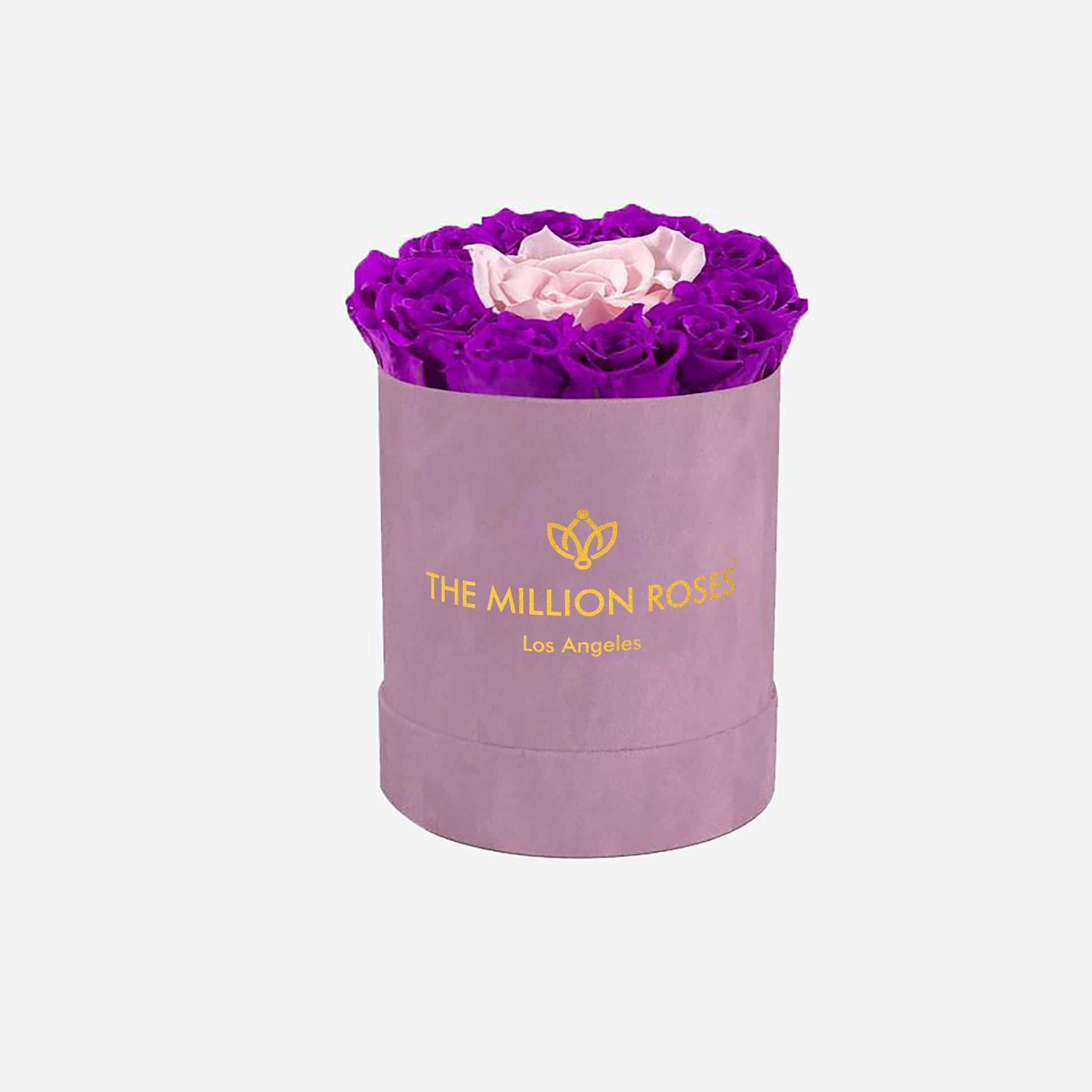Basic Light Pink Suede Box | Bright Purple & Light Pink Mini Roses - The Million Roses