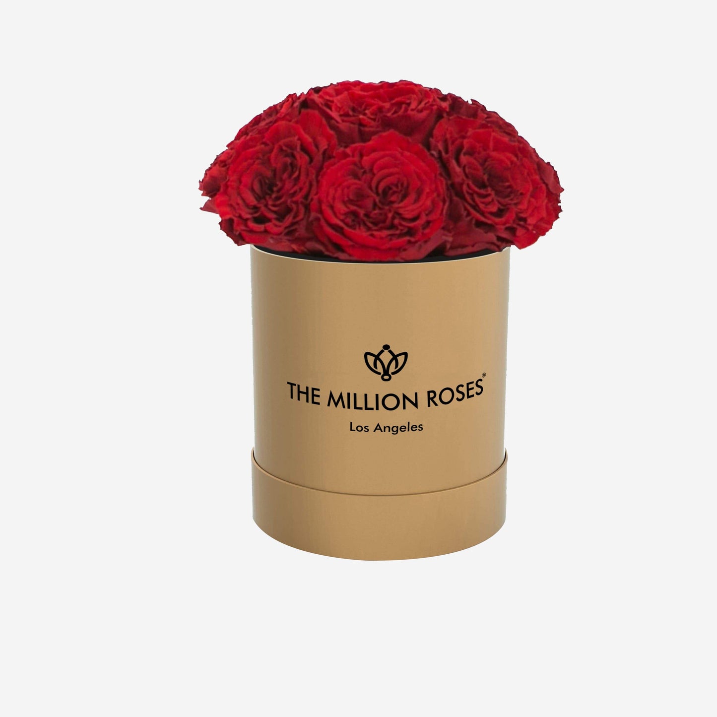 Basic Gold Dome Box | Red Carmen Roses - The Million Roses