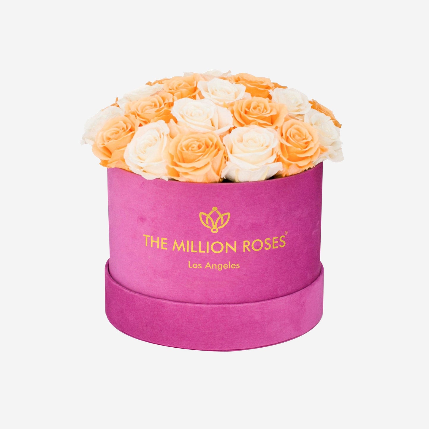 Classic Hot Pink Suede Dome Box | Peach & Ivory Roses - The Million Roses