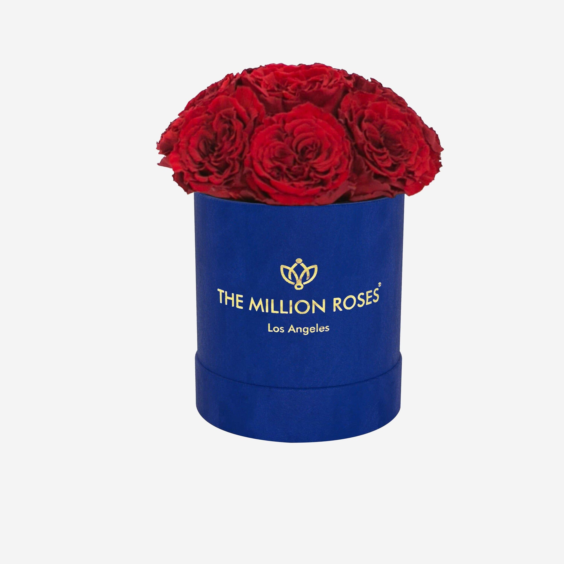 Basic Royal Blue Suede Dome Box | Red Carmen Roses - The Million Roses
