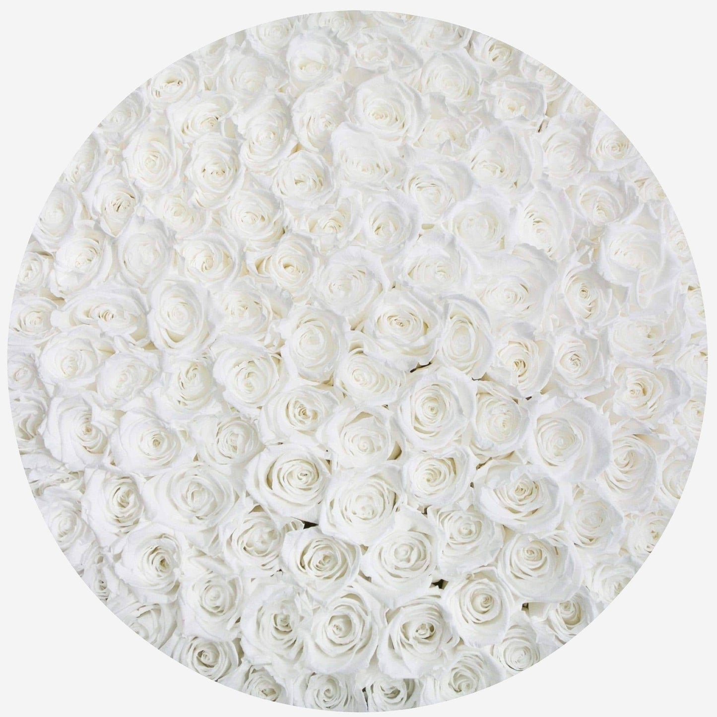 Deluxe Black Box | White Roses - The Million Roses