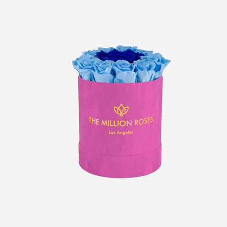 Basic Hot Pink Suede Box | Light Blue Mini Roses - The Million Roses