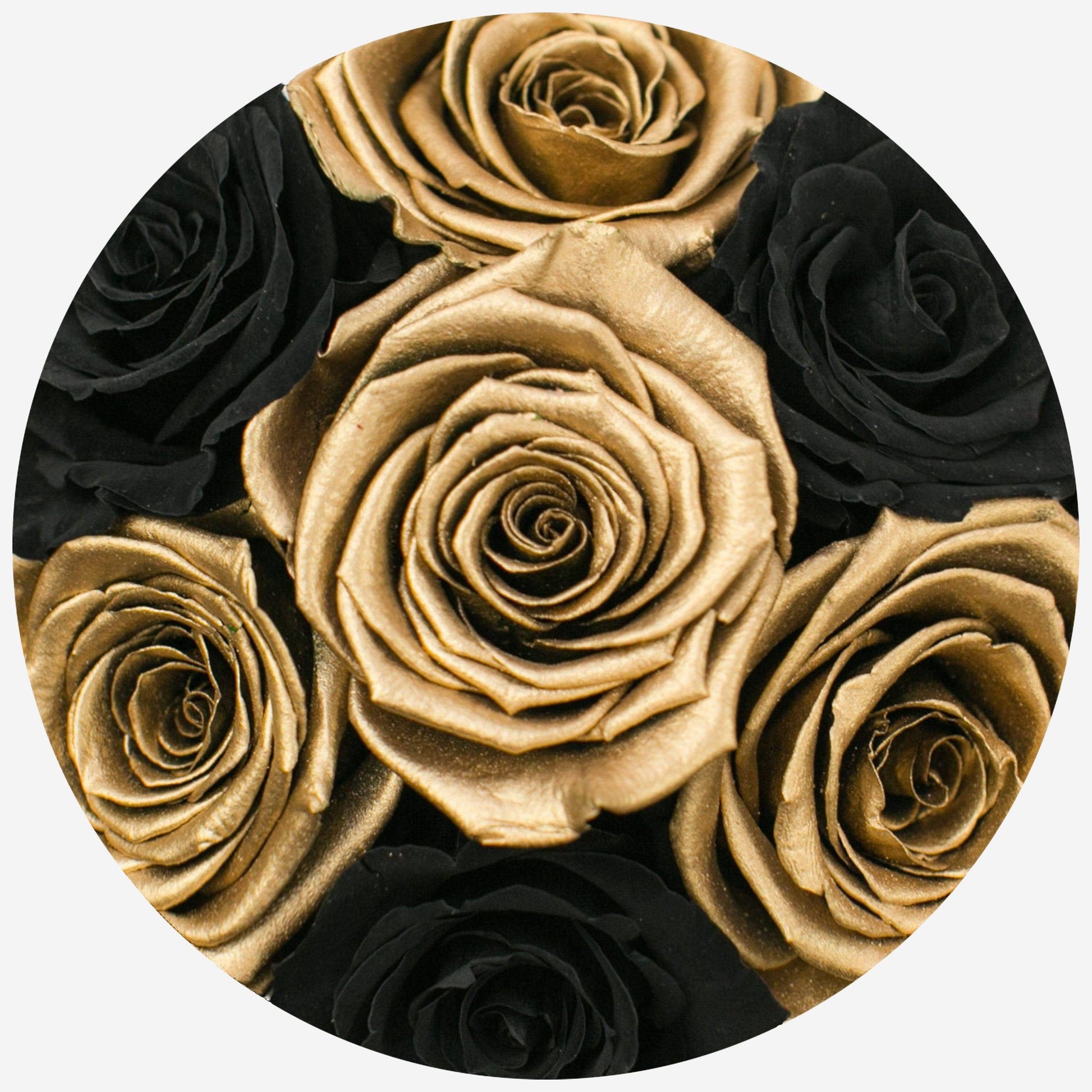 Basic White Box | Black & Gold Roses - The Million Roses