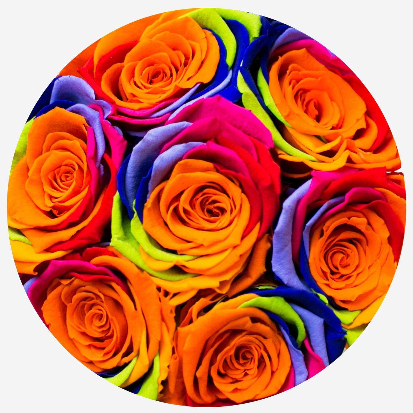 Basic Royal Blue Box | Rainbow Roses - The Million Roses