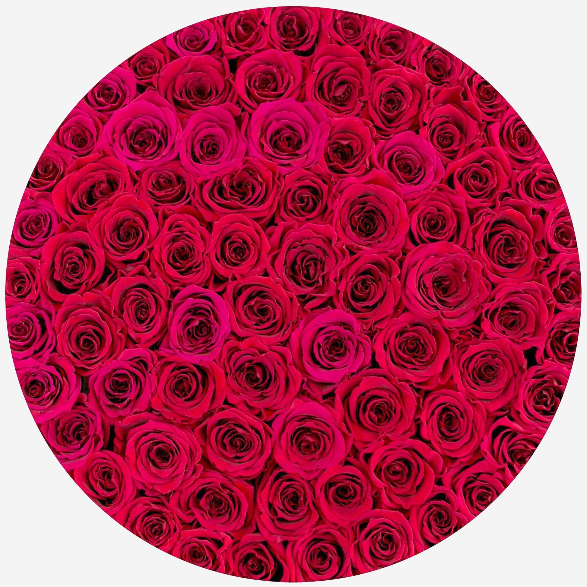 Deluxe White Box | Burgundy Roses - The Million Roses