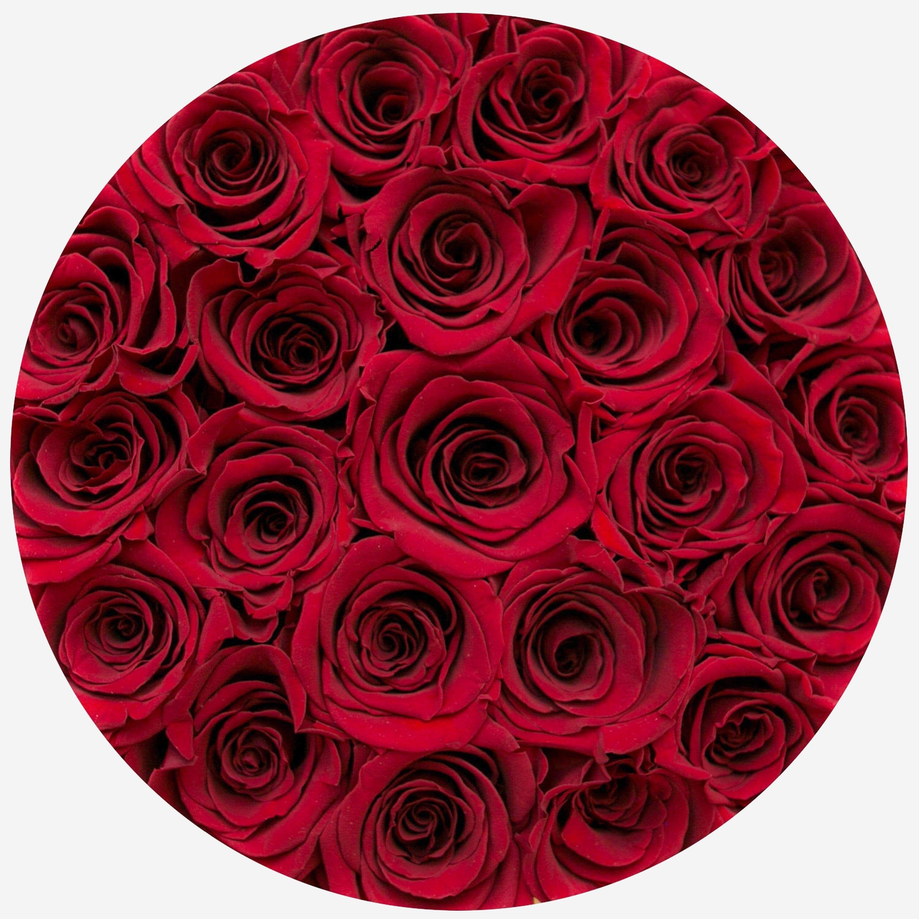 Classic Black Box | Red Roses - The Million Roses