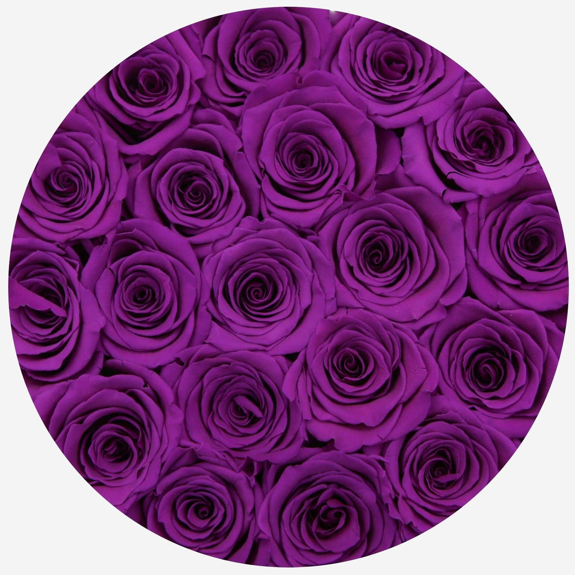 Classic White Box | Purple Roses - The Million Roses