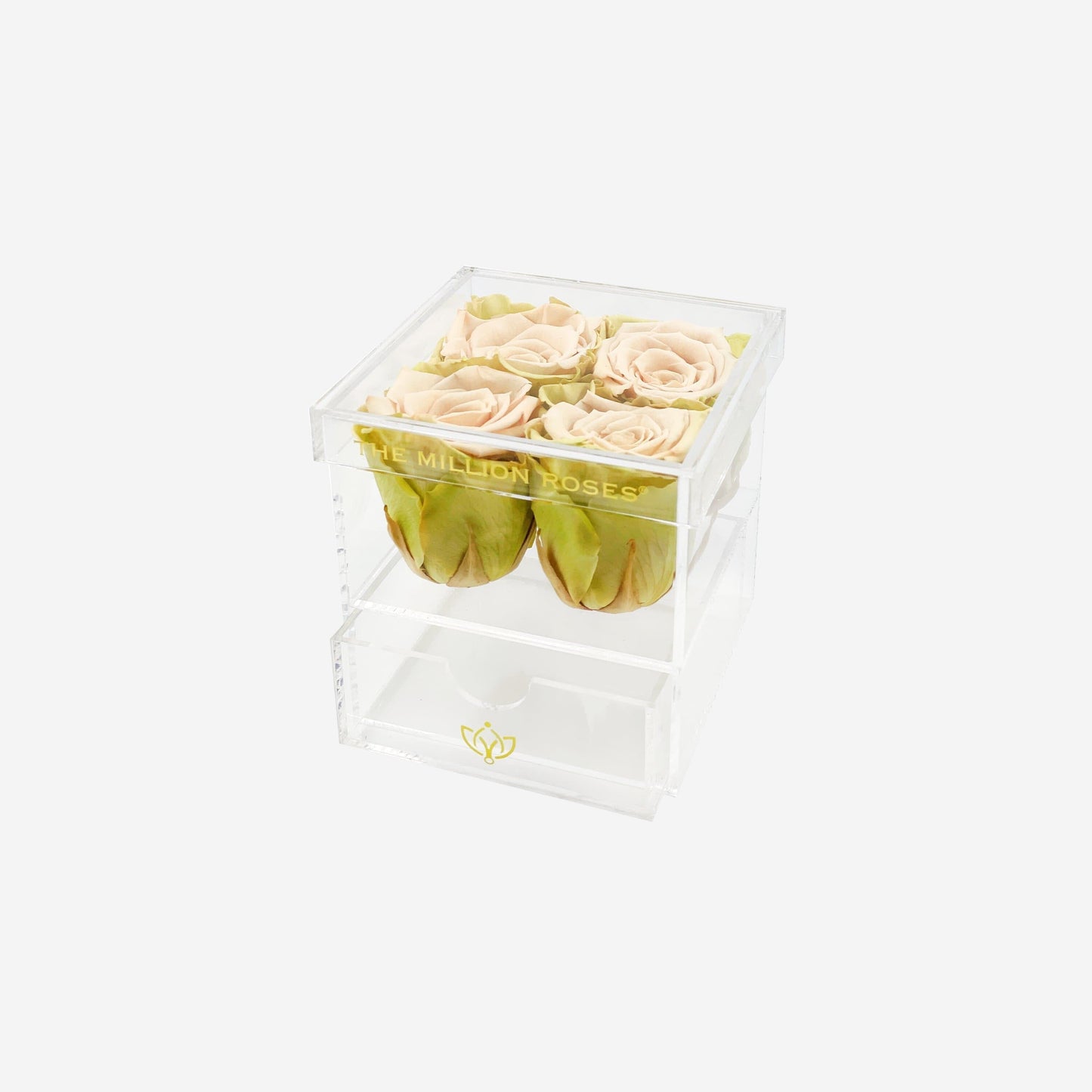 Acrylic 4 Drawer Box | Fawn Bicolor Roses - The Million Roses