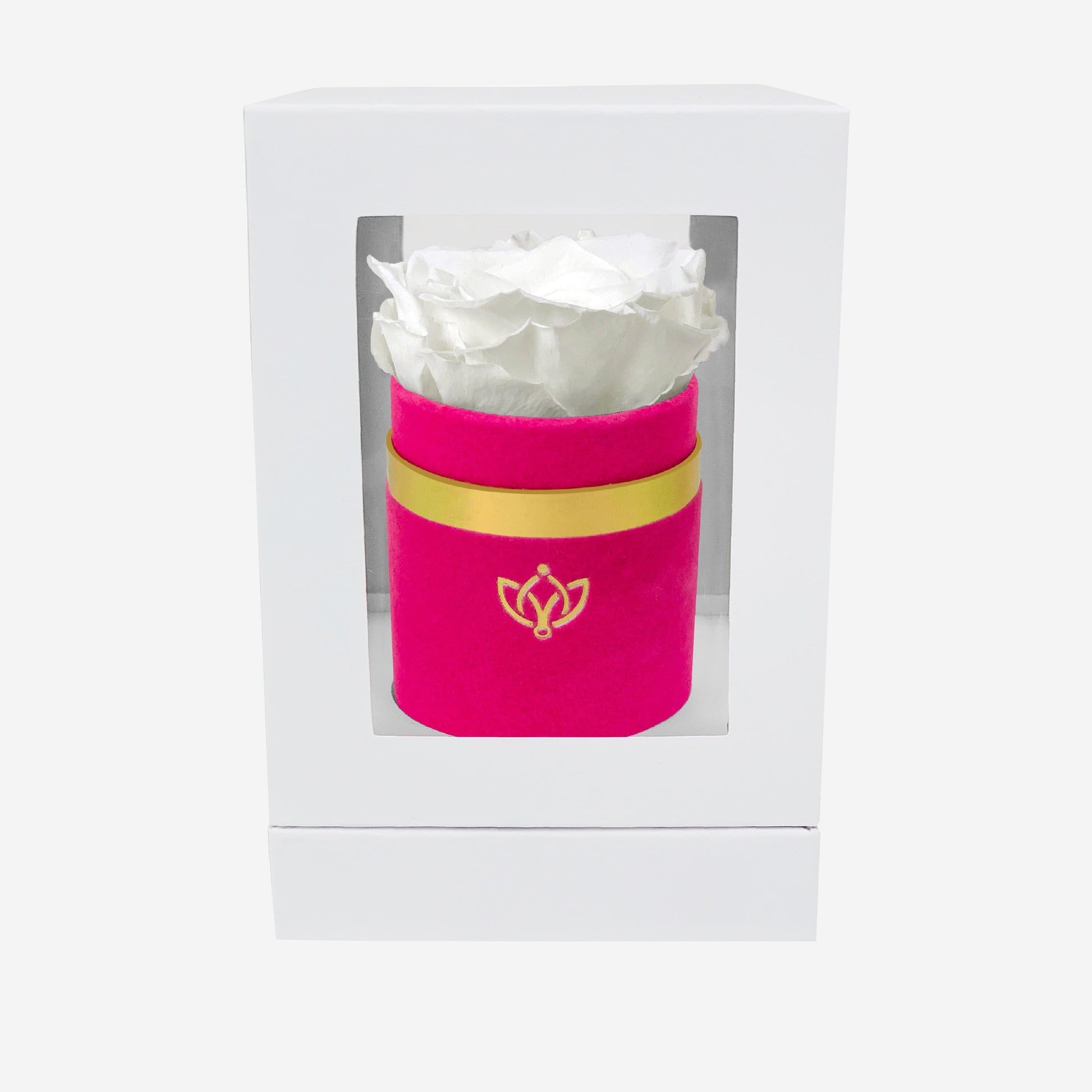 Single Hot Pink Suede Box | White Rose - The Million Roses