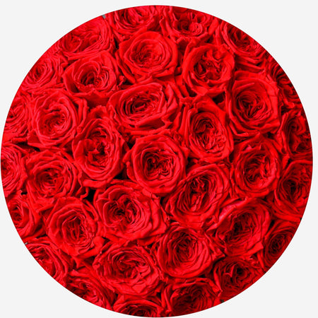 Supreme Gold Dome Box | Bright Red Roses - The Million Roses