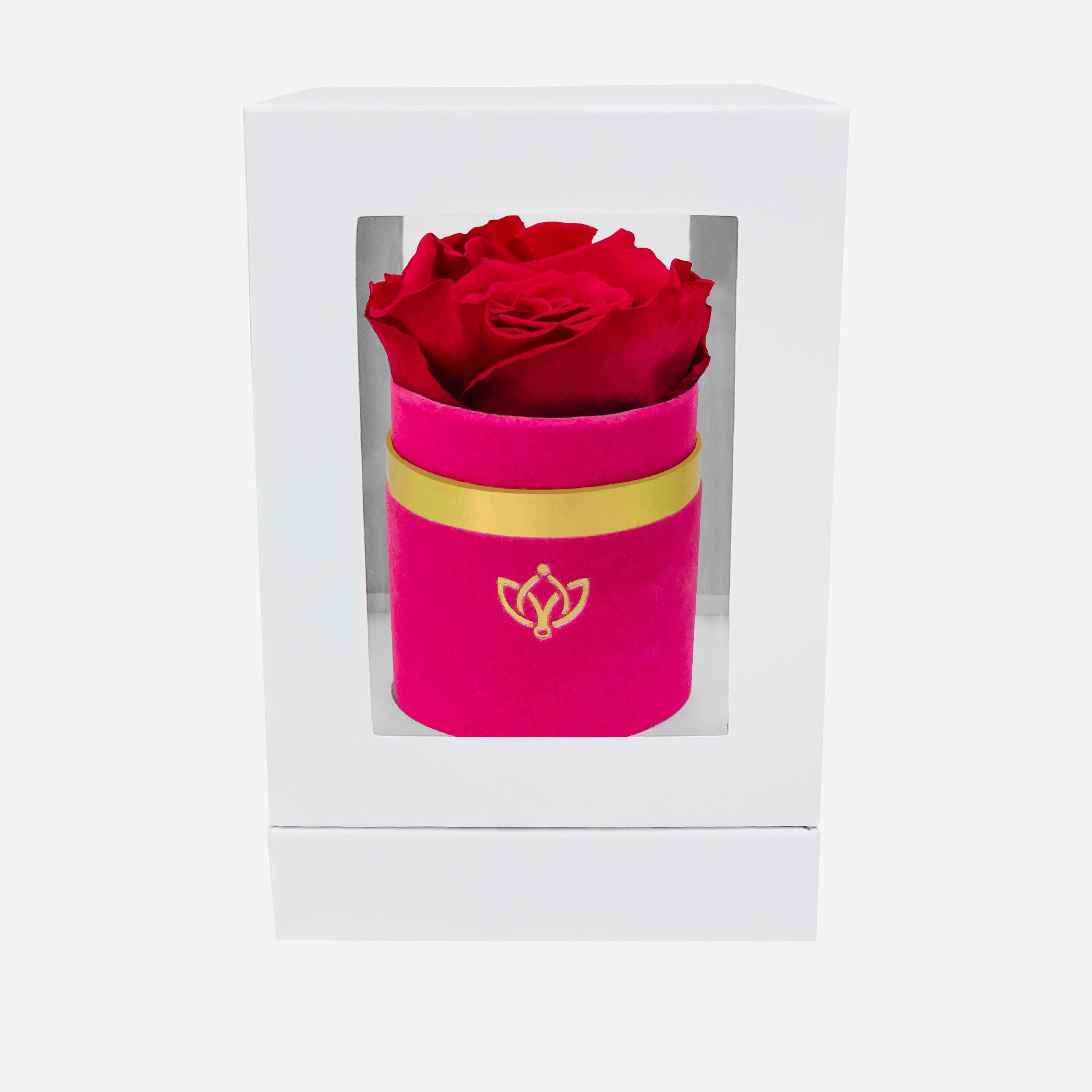 Single Hot Pink Suede Box | Magenta Rose - The Million Roses