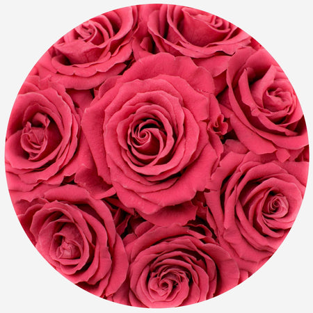 Basic Black Box | Coral Roses - The Million Roses