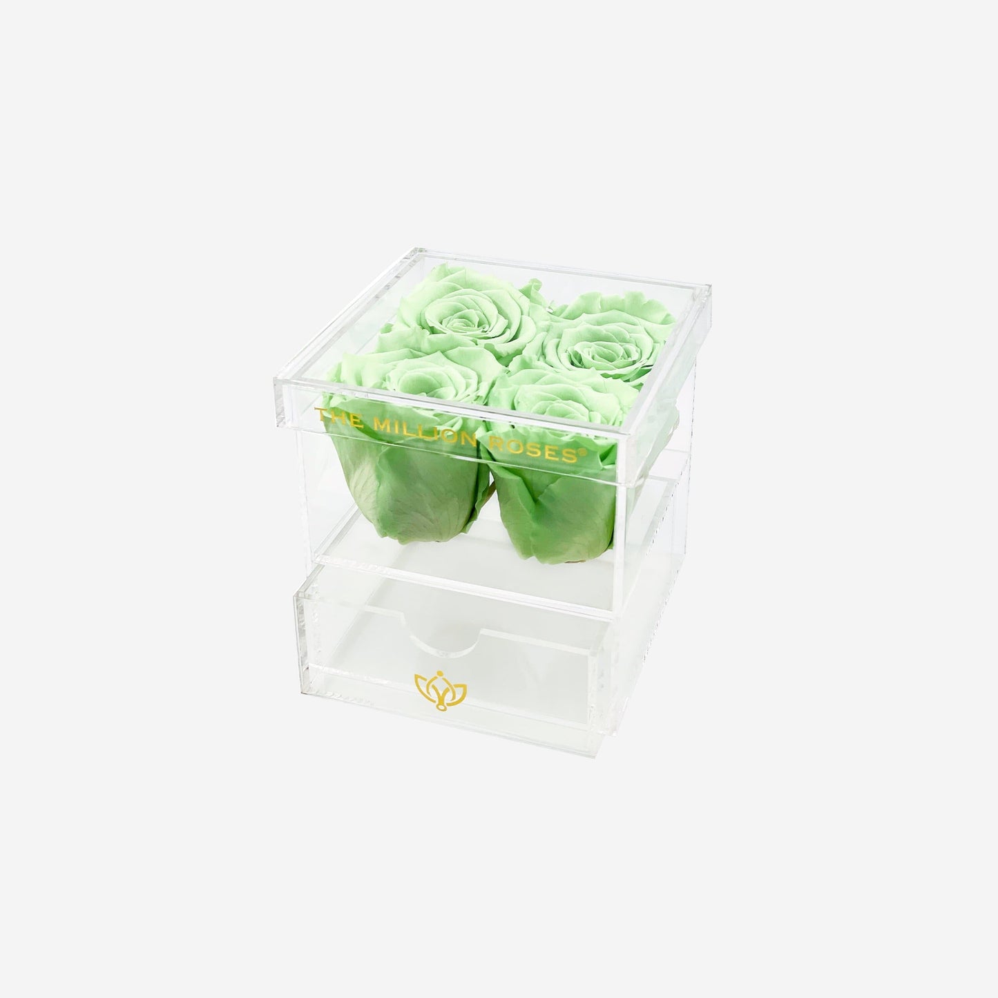 Acrylic 4 Drawer Box | Mint Green Roses - The Million Roses
