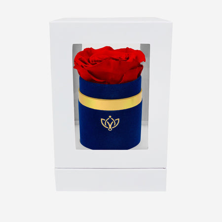 Single Royal Blue Suede Box | Red Rose - The Million Roses
