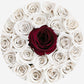 Classic Gold Box | Off White & Red Roses - The Million Roses