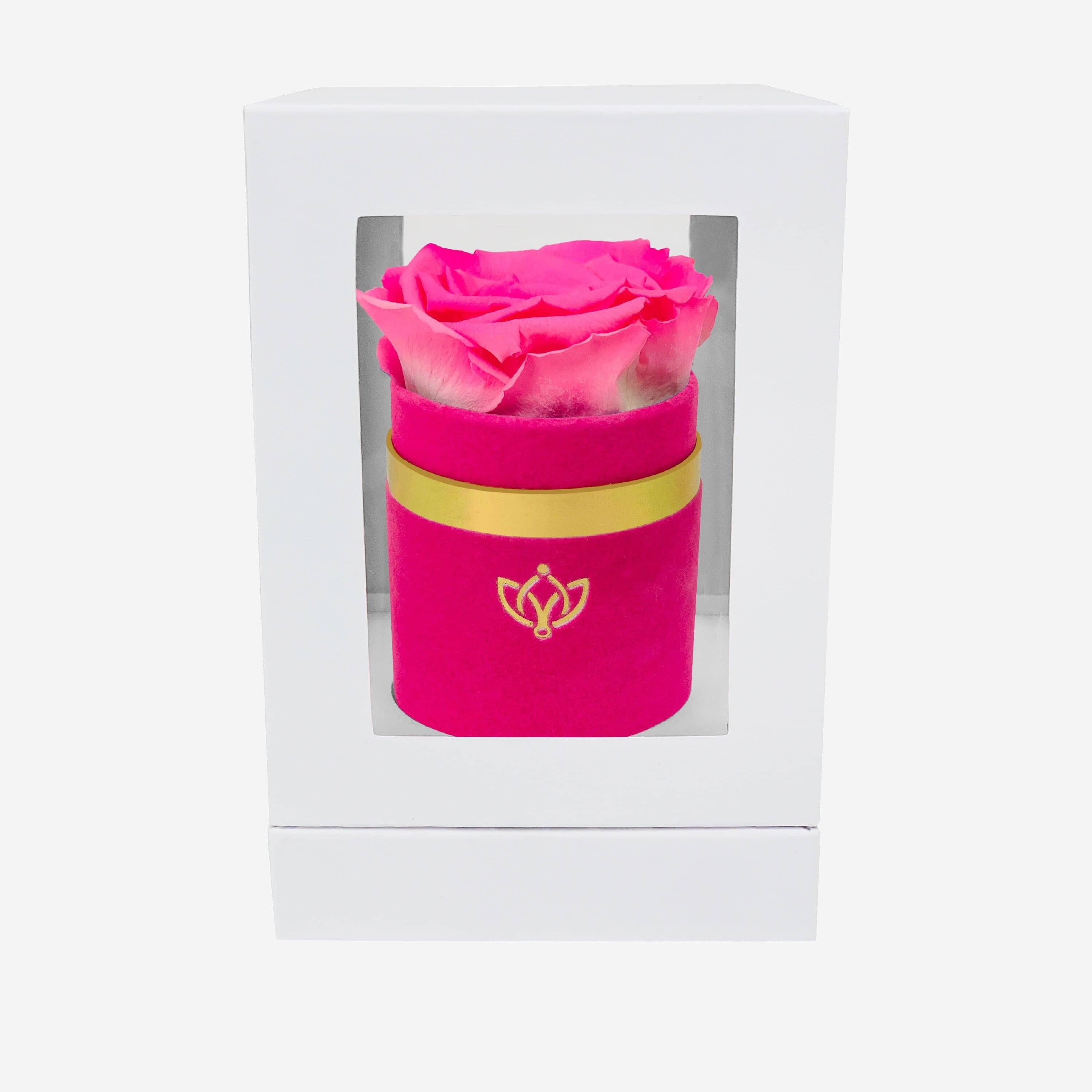 Single Hot Pink Suede Box | Candy Pink Rose - The Million Roses