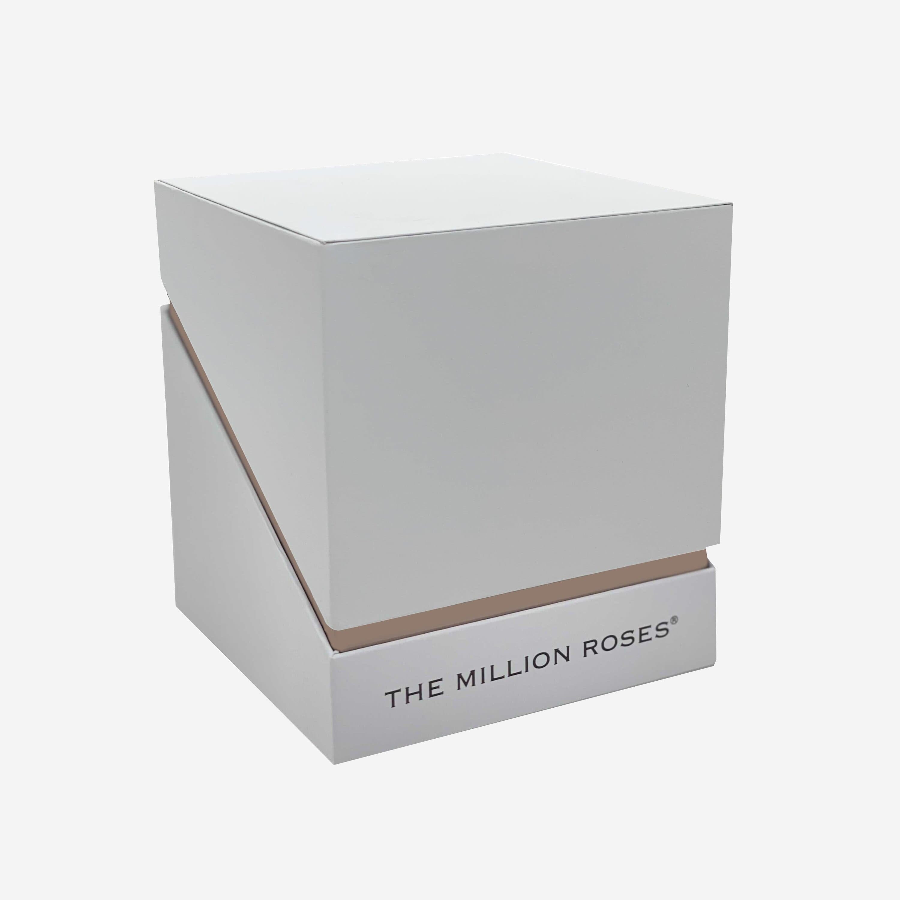 Square White Box | Violet Roses - The Million Roses