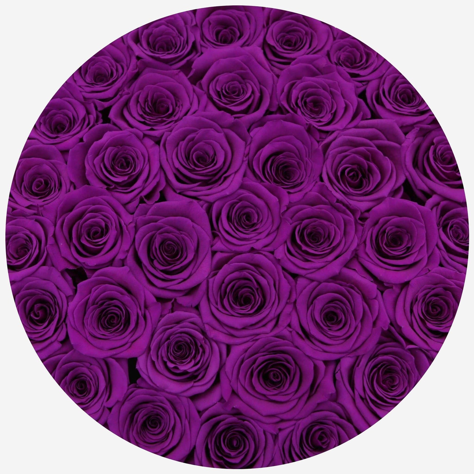 Supreme White Box | Bright Purple Roses - The Million Roses