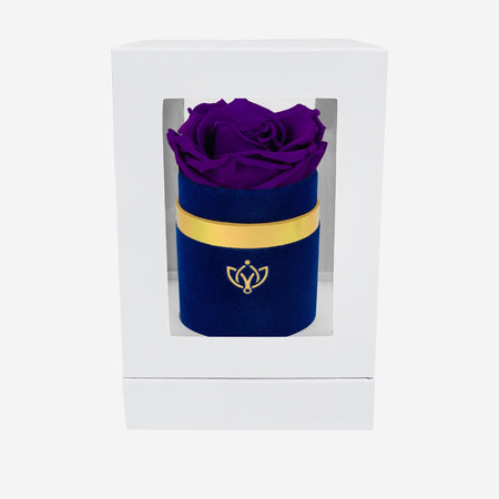 Single Royal Blue Suede Box | Bright Purple Rose - The Million Roses