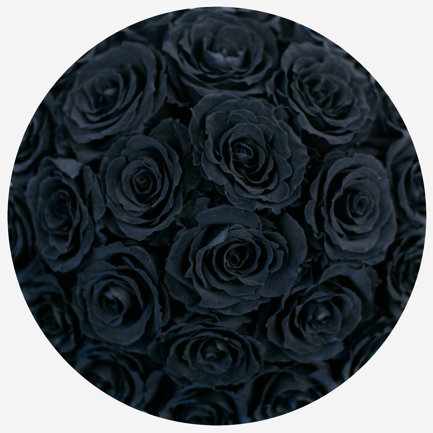 Basic Light Pink Suede Box | Black Roses - The Million Roses
