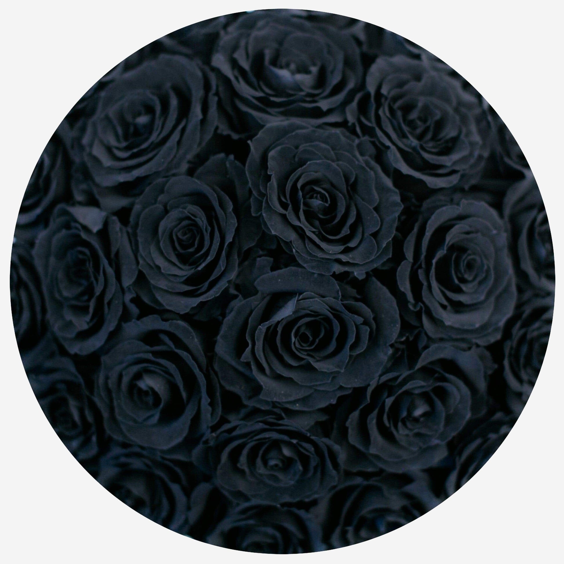 Basic Light Pink Suede Box | Black Roses - The Million Roses