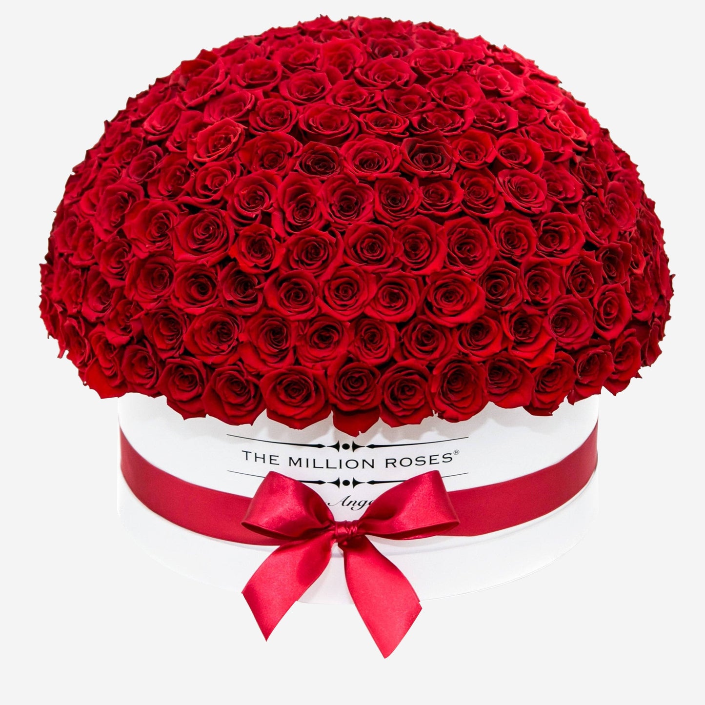 Deluxe White Dome Box | Bright Red Roses - The Million Roses