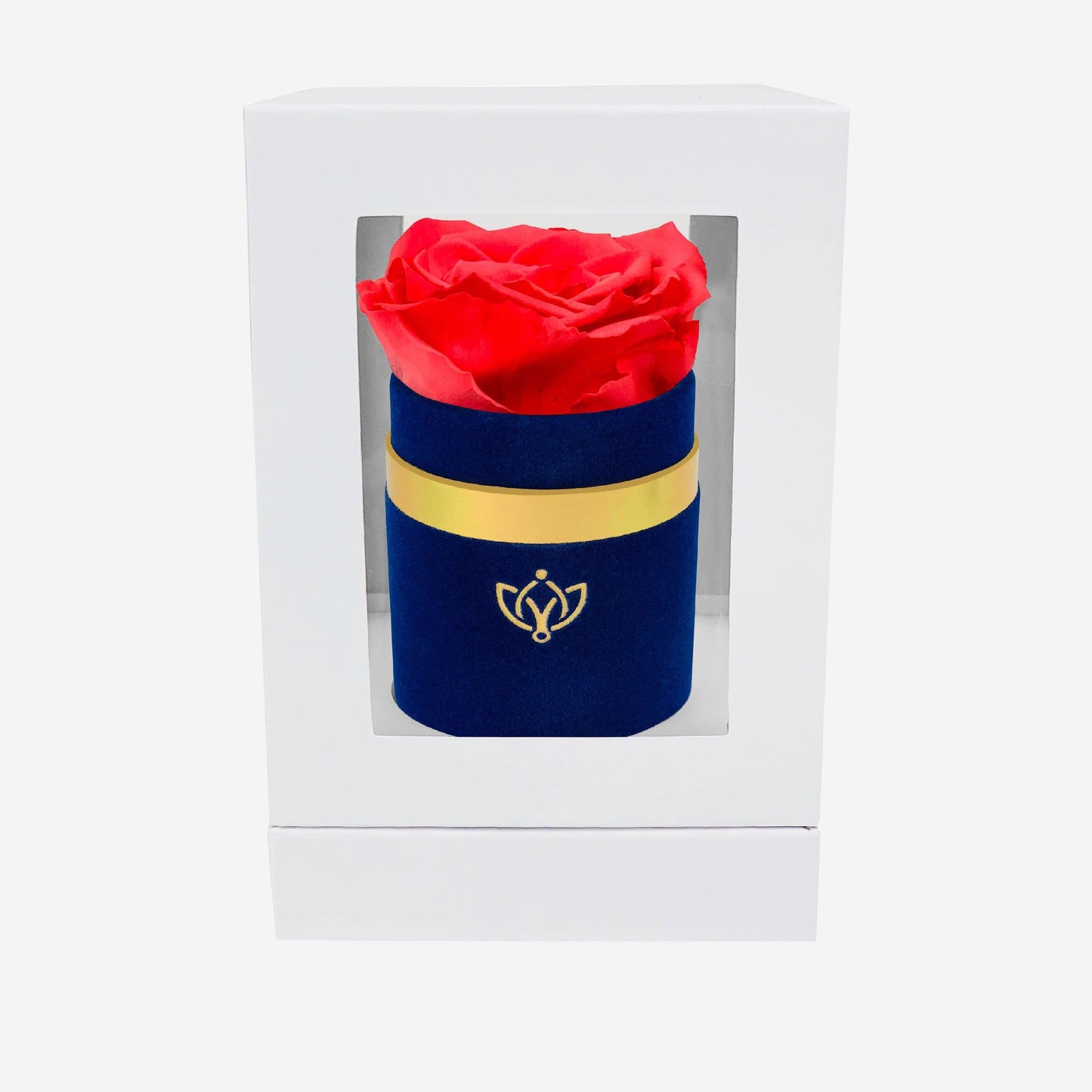 Single Royal Blue Suede Box | Coral Rose - The Million Roses