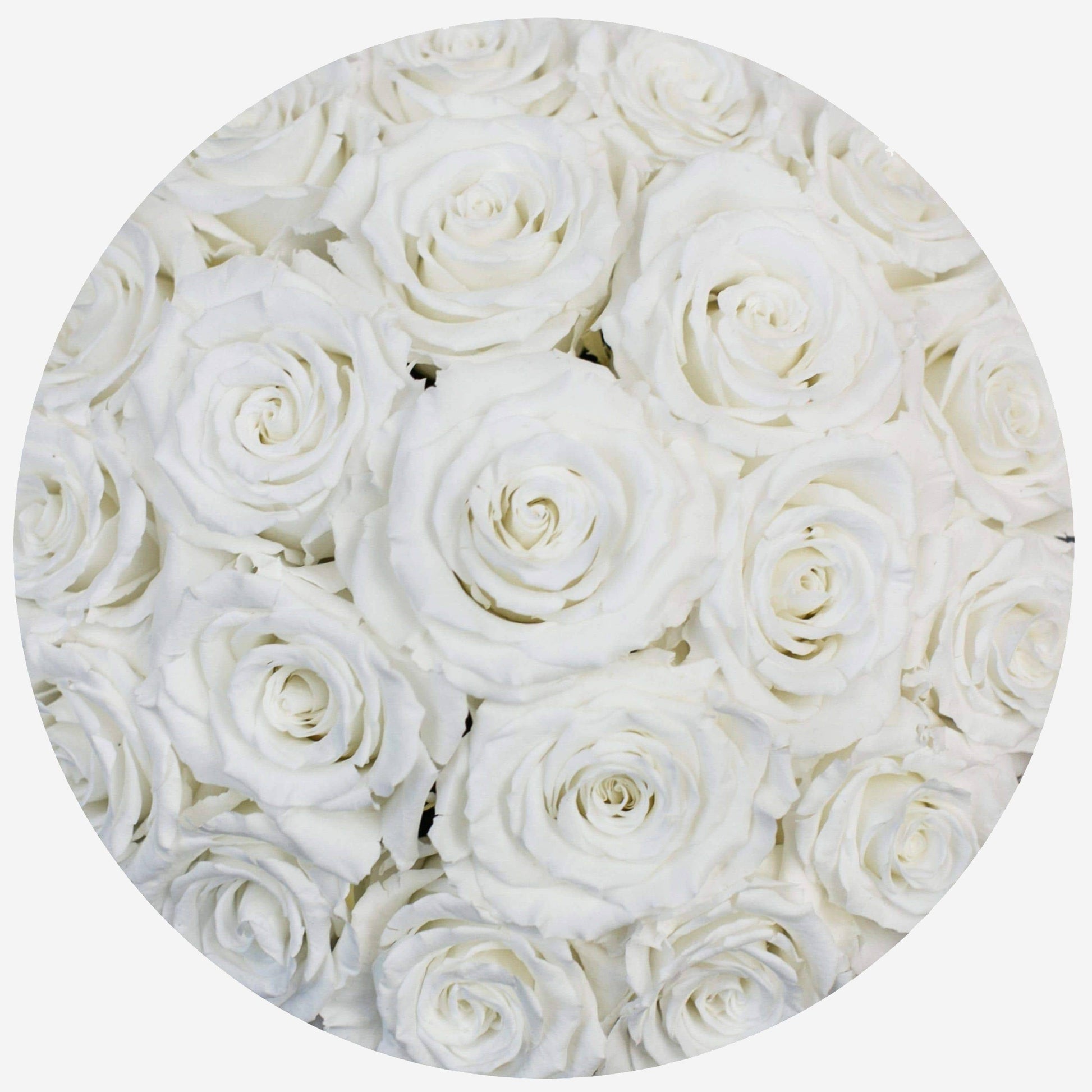 Classic Hot Pink Suede Dome Box | White Roses - The Million Roses