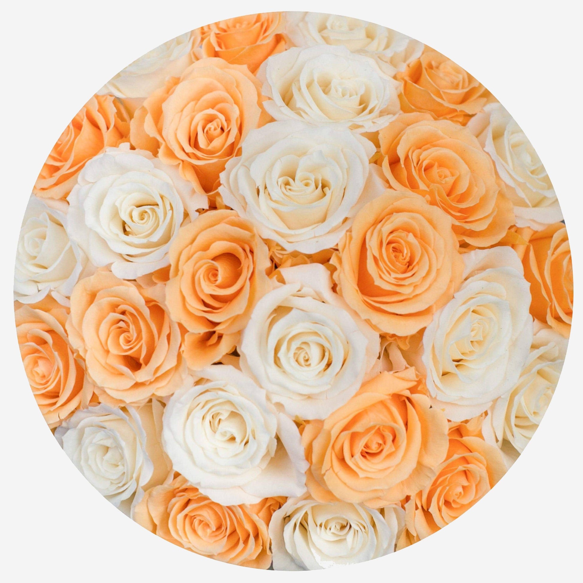Ivory Rose Package - Peach