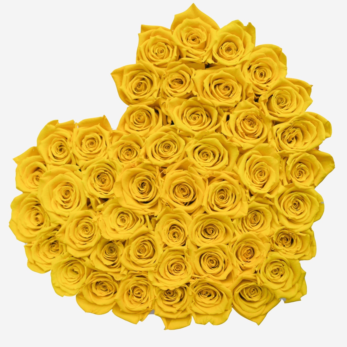Heart Black Box | Yellow Roses - The Million Roses