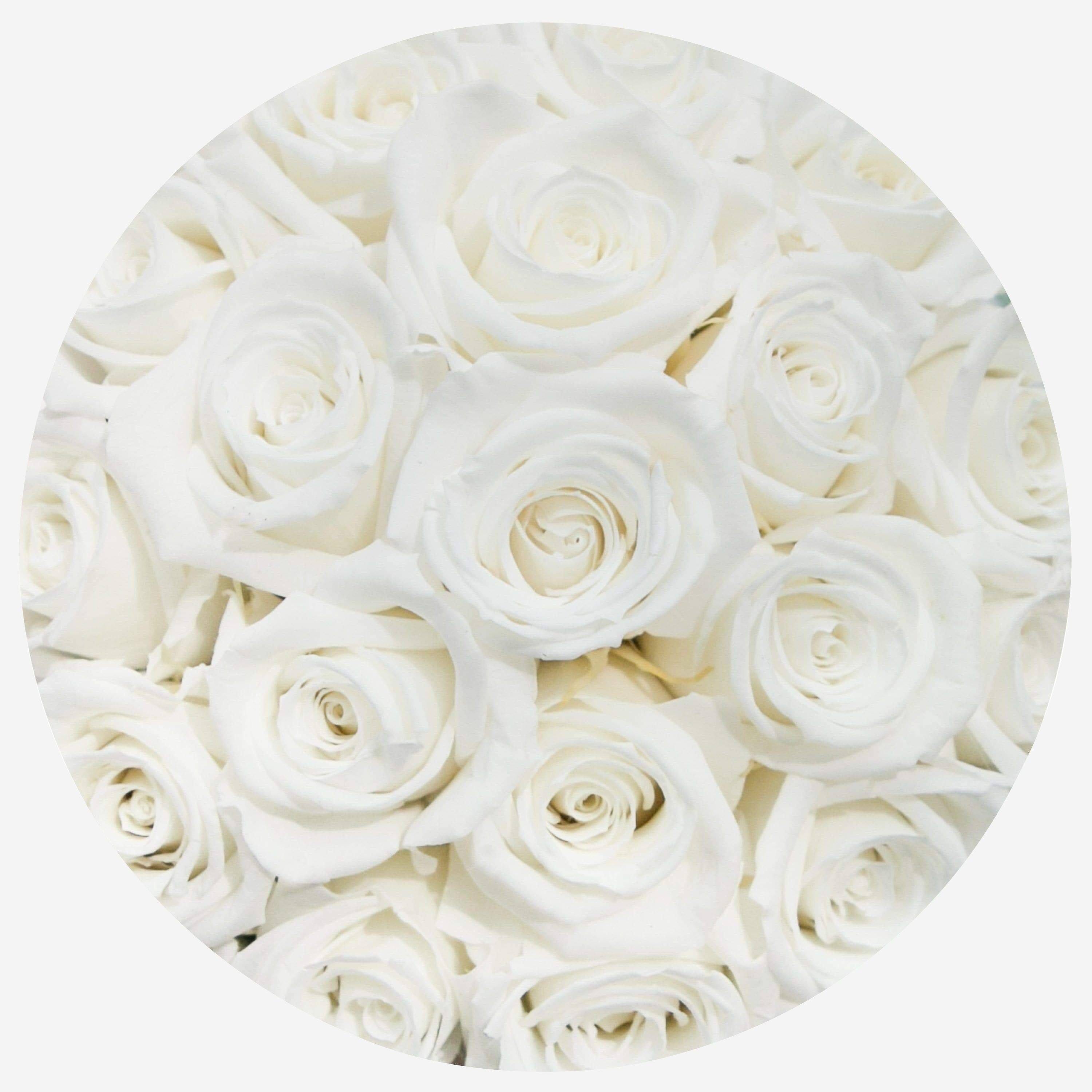 Basic White Box | White Roses - The Million Roses