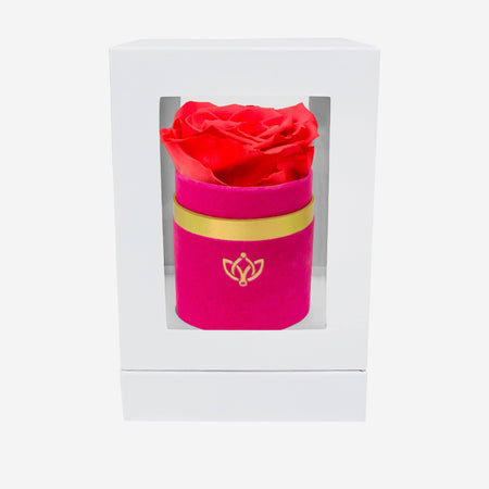 Single Hot Pink Suede Box | Coral Rose - The Million Roses