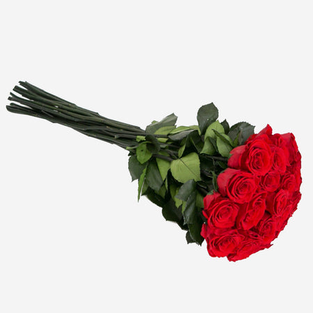 Long Stem Roses | Red Roses - The Million Roses