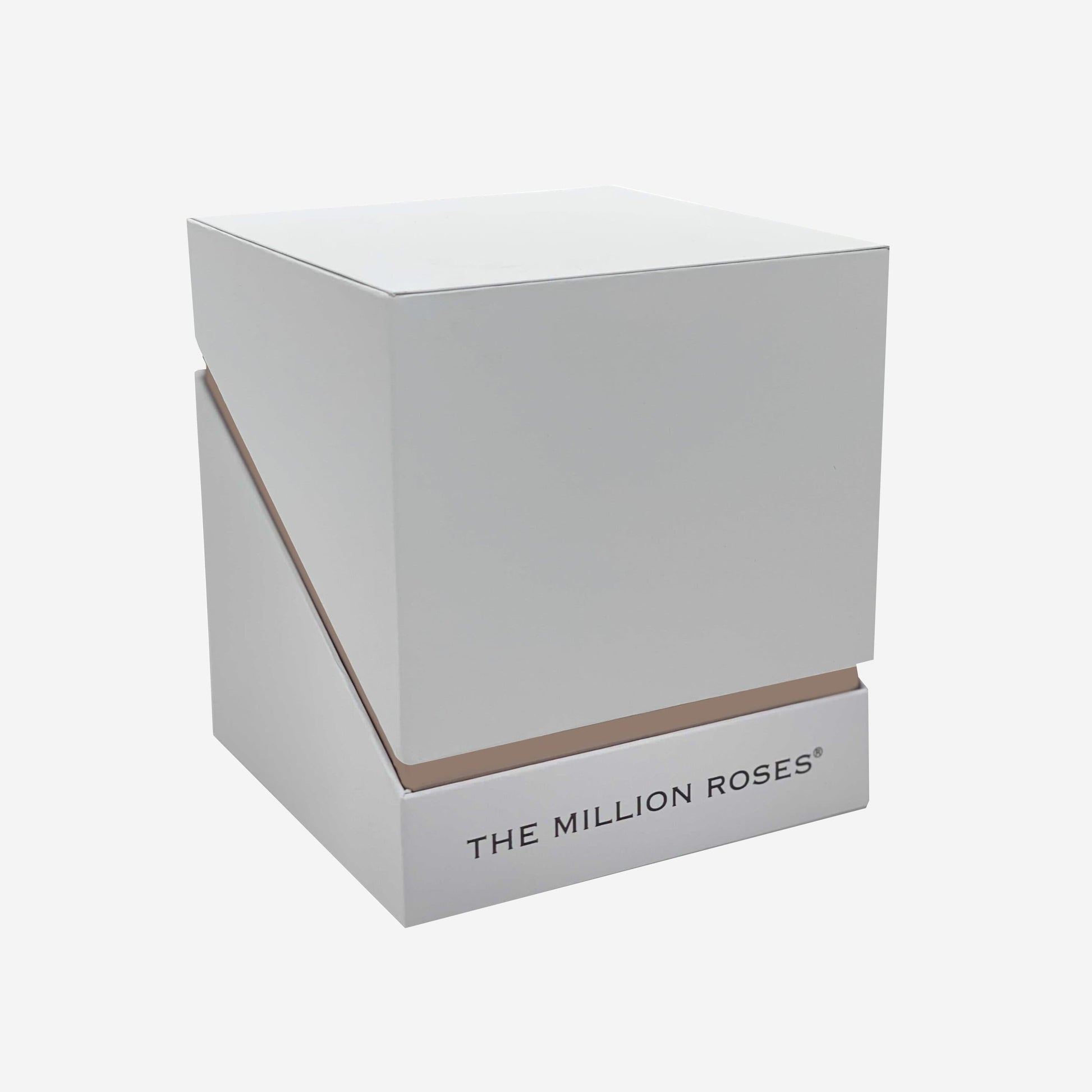 Square White Box | Ivory Roses - The Million Roses
