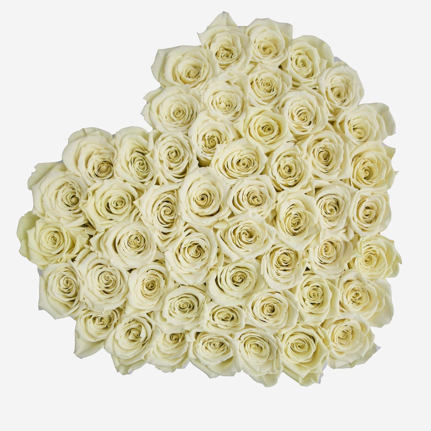 Heart Black Box | Ivory Roses - The Million Roses