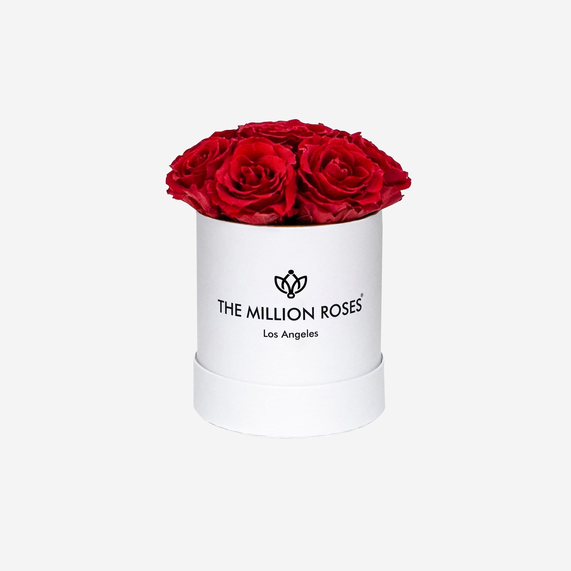 CLASSIC ROSES ARE RED BOX ARRANGEMENT - Red Roses And Million Stars