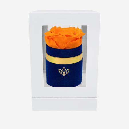 Single Royal Blue Suede Box | Orange Rose - The Million Roses