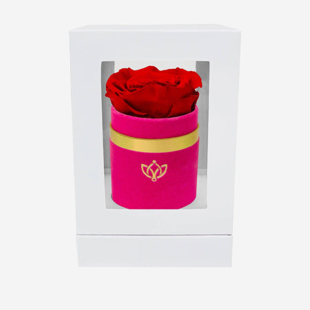 Single Hot Pink Suede Box | Red Rose - The Million Roses