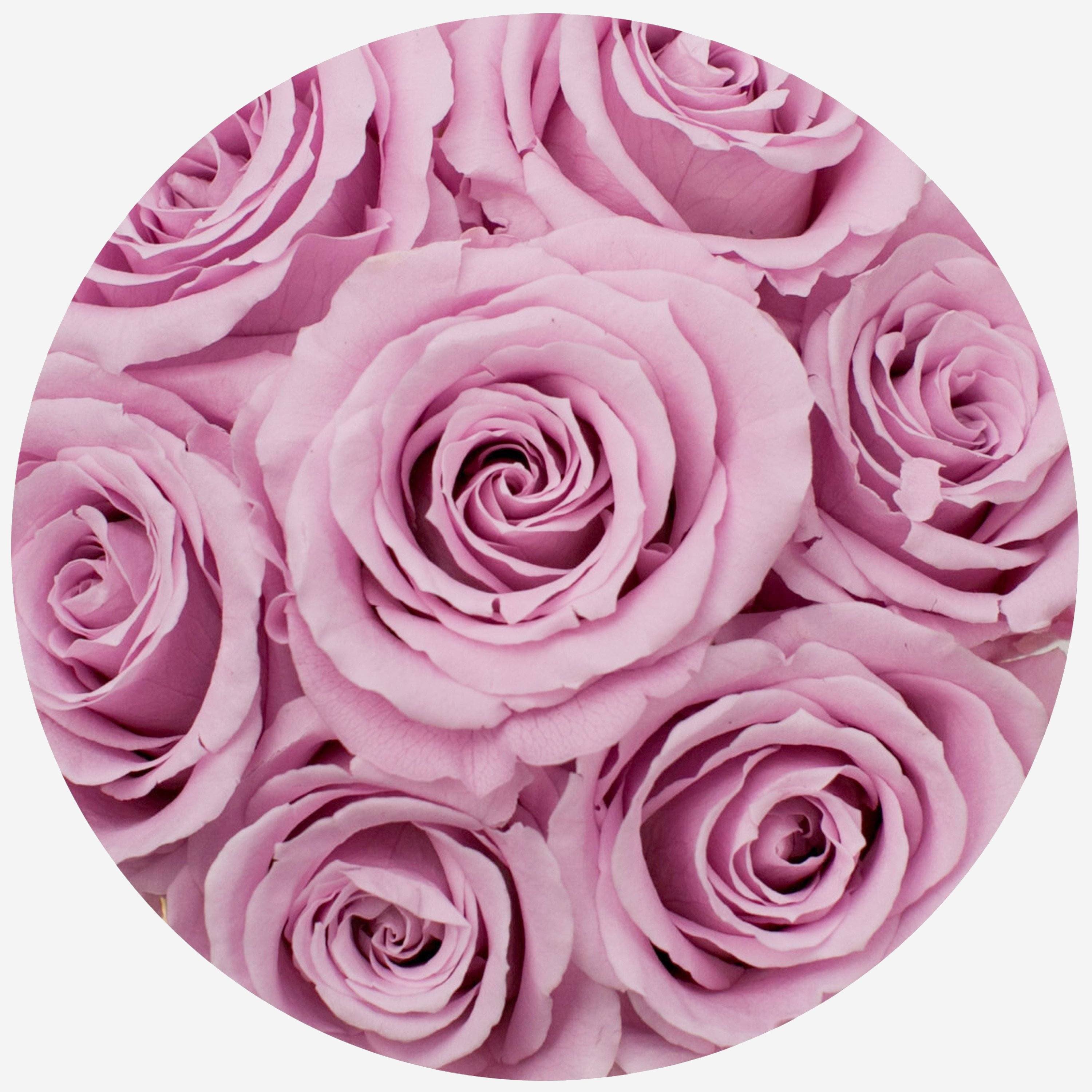 Basic Black Box | Light Pink Roses - The Million Roses