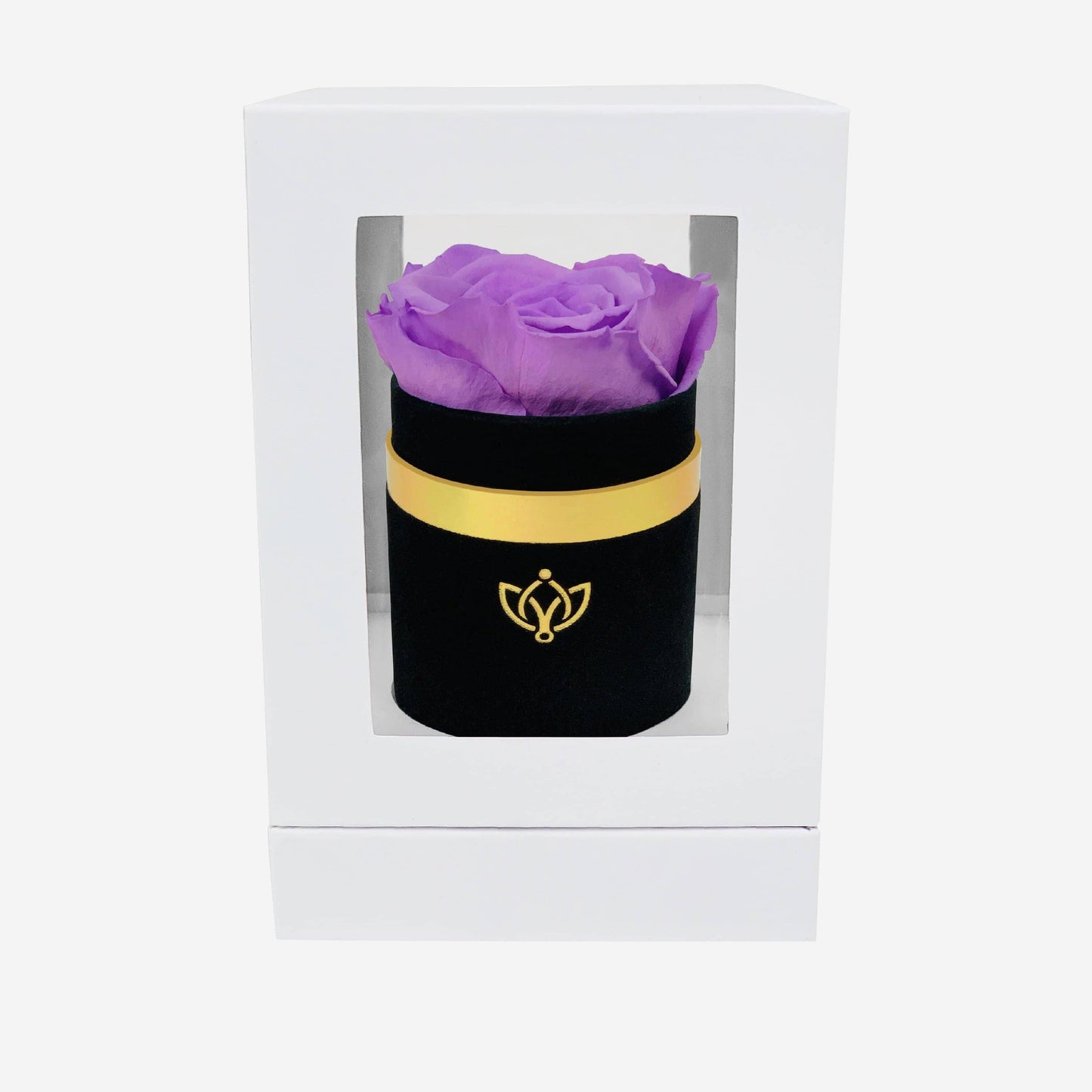 Single Black Suede Box | Lavender Rose - The Million Roses